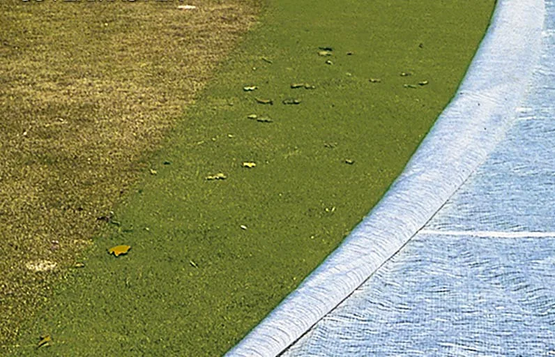 Evergreen Original Turf Cover